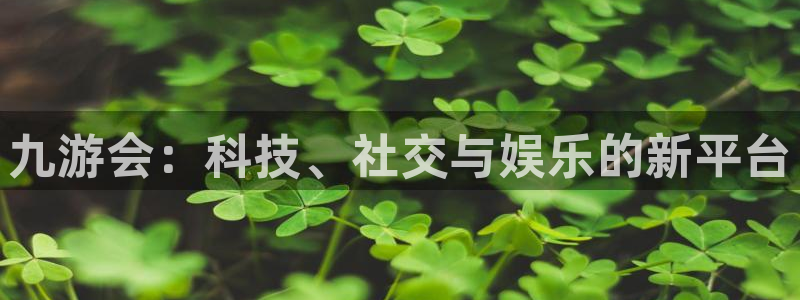 伟德国际