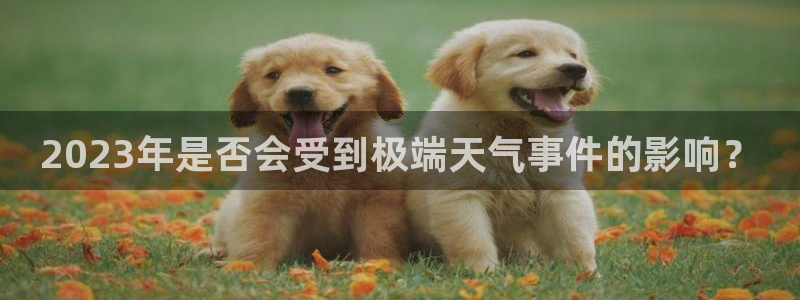 伟德国际官网_伟德国际平台