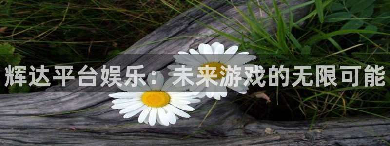 伟德国际betvlctor