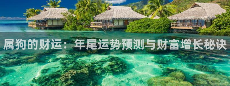伟德国际旗下有哪些品牌