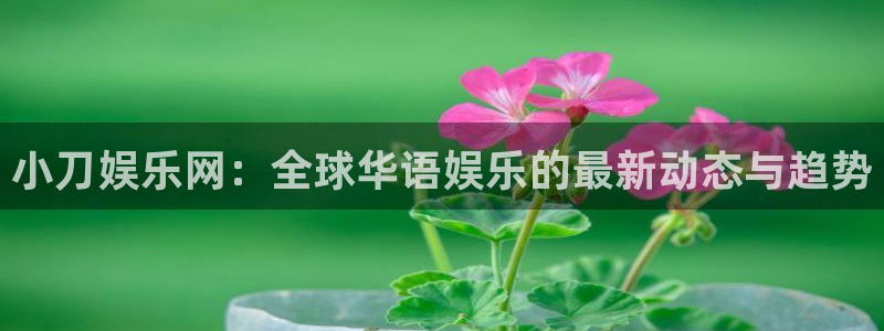 伟德app下载官网