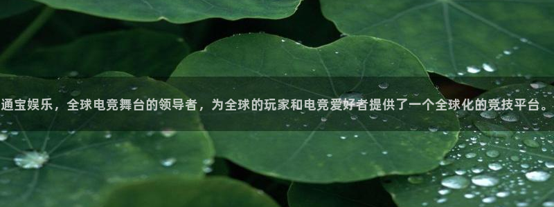 伟德国际app安卓版