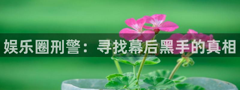 伟德app官网下载