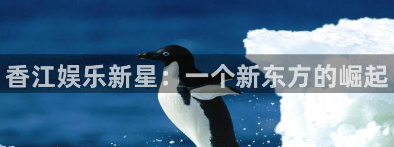 伟德国际1949