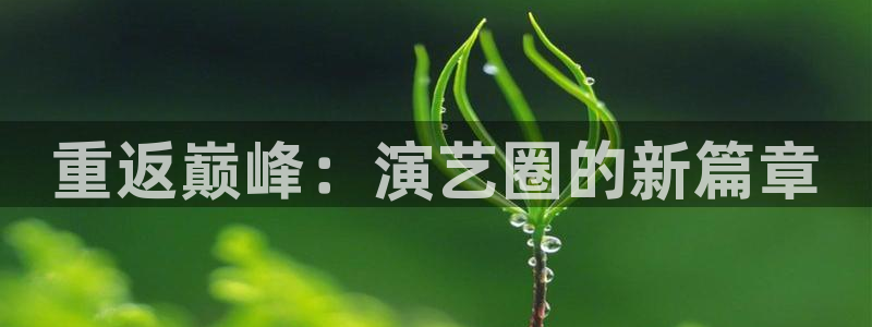 伟德国际
