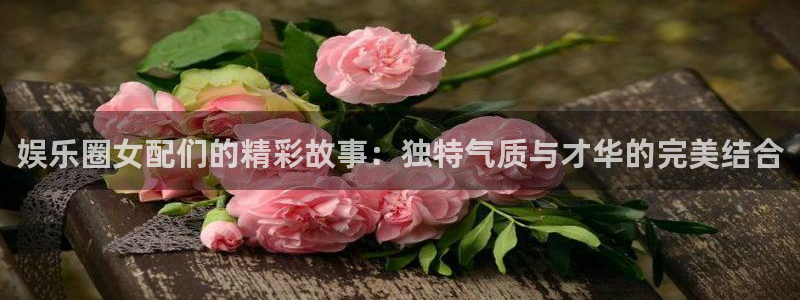 伟德国际