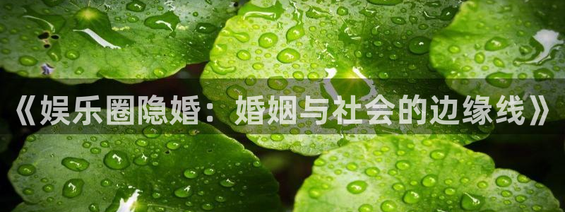 伟德国际企业有限公司
