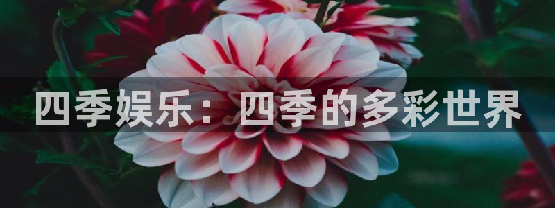 伟德国际1946官网