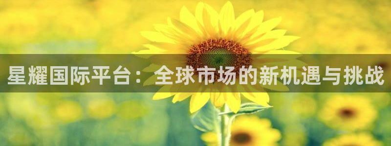 伟德app