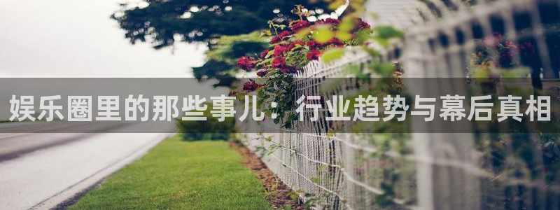 伟德国际1946体育