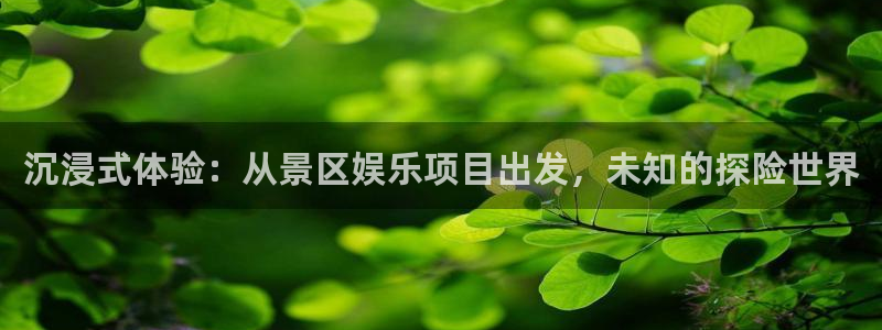 伟德app下载：沉浸式体验：从景区娱乐项目出发，未知的探险世界